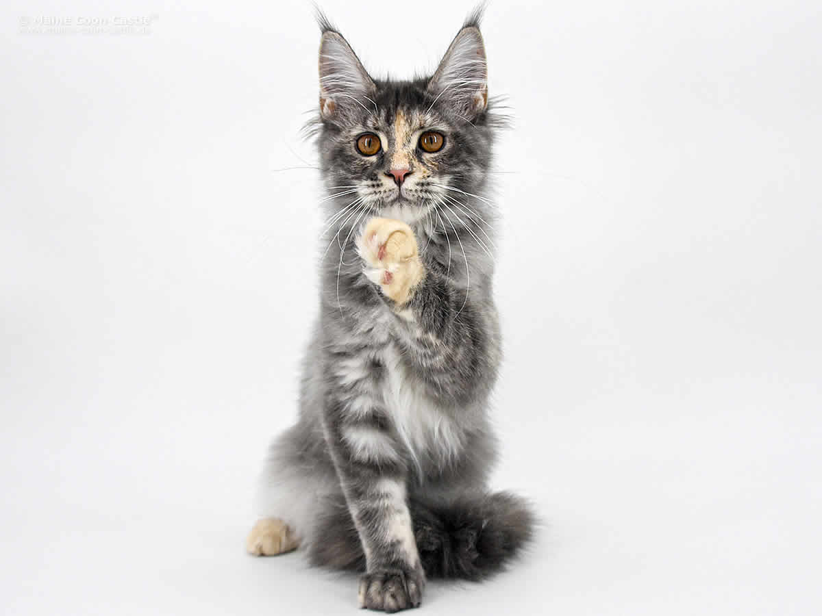 Kylie 4 Monate Alt Kylie 4 Monate Alt