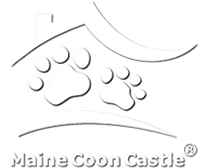 Maine Coon Castle Logo